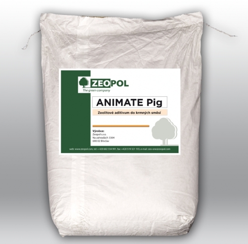 ANIMATE_Pig.JPG
